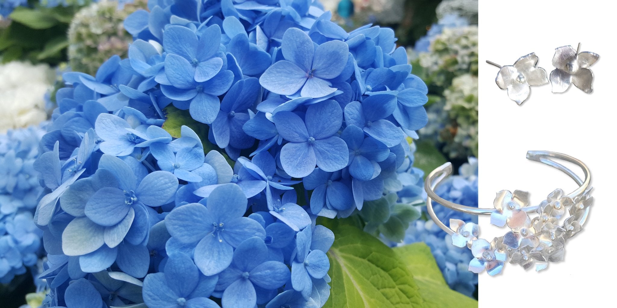 The Hydrangea Collection