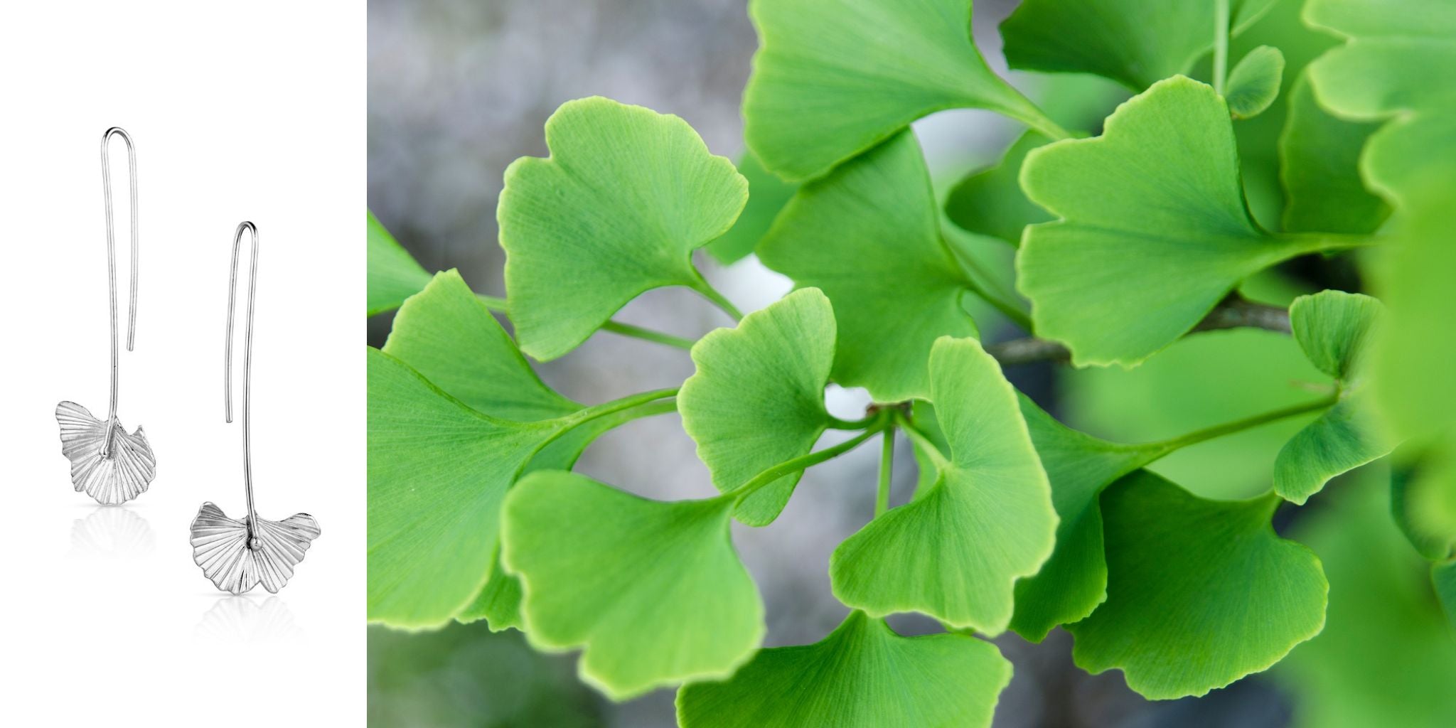 Ginkgo collar