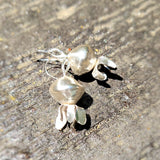 Rosehip sterling earrings